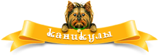 Каникулы